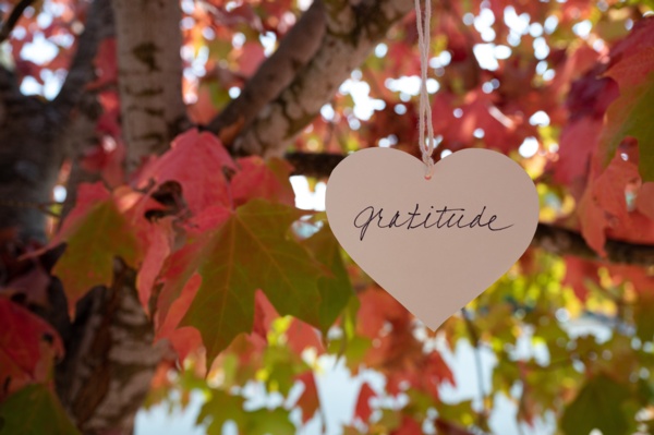 Practice Gratitude in the Workplace Everyday